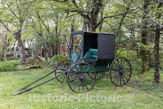 Photo - Carriage Along The Yellow Brick Road at The Land of Oz, an Unusual Theme Park at Beech Mountain, North Carolina- Fine Art Photo Reporduction