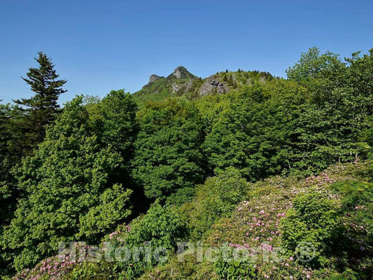 Photo- Scene ATOP Grandfather Mountain, a Mountain, Non-Profit Attraction, and North Carolina State Park Near Linville, North Carolina 1 Fine Art Photo Reproduction
