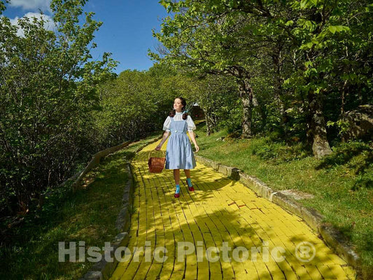 Photo- Ashley Harkins as Dorothy along the Yellow Brick Road at the Land of Oz, an unusual theme park at Beech Mountain, North Carolina 1 Fine Art Photo Reproduction