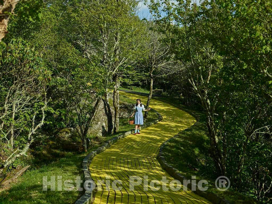 Photo- Ashley Harkins as Dorothy Along The Yellow Brick Road at The Land of Oz, an Unusual Theme Park at Beech Mountain, North Carolina 3 Fine Art Photo Reproduction