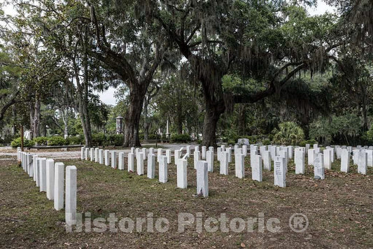 Photo - Military graves at Bonaventure Cemetery in Savannah, Georgia- Fine Art Photo Reporduction