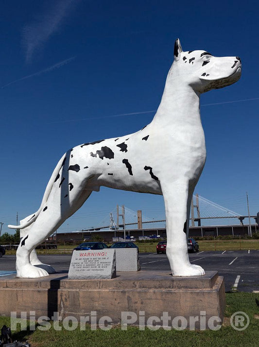 Photo - This Symbol of The Great Dane Truck Trailer Company Stands Outside its Division Office in Savannah, Georgia- Fine Art Photo Reporduction