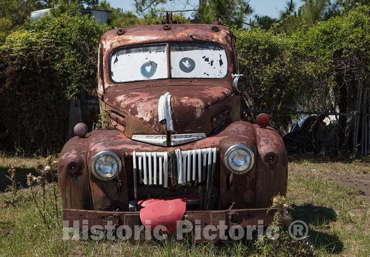 Photo- Somebody's Having Some Fun at The House of Rust auto-Parts Store in Waycross, Georgia 2 Fine Art Photo Reproduction