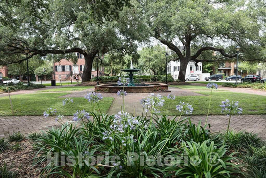 Photo - Columbia Square in Savannah, Georgia- Fine Art Photo Reporduction