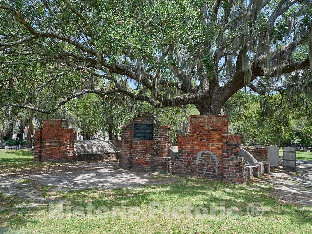 Photo- Scene from Colonial Park Cemetery in Savannah, Georgia 7 Fine Art Photo Reproduction
