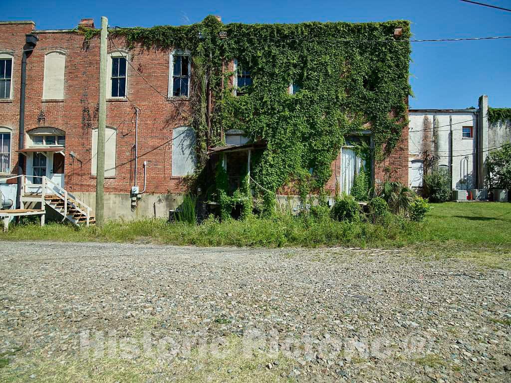 Photo - Ivy-Covered Building in Waycross, Georgia- Fine Art Photo Reporduction