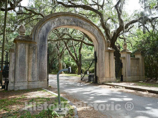 Photo- Entrance to The Wormsloe Historic Site in Savannah, Georgia 1 Fine Art Photo Reproduction