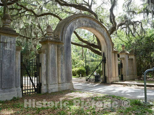 Photo- Entrance to The Wormsloe Historic Site in Savannah, Georgia 2 Fine Art Photo Reproduction