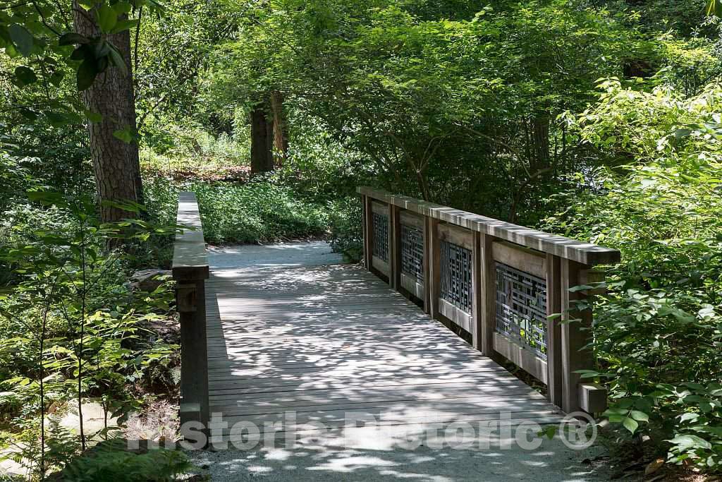 Photo- Scene from the Sarah P. Duke Gardens, a 55-acre public garden on the campus of Duke University 23 Fine Art Photo Reproduction