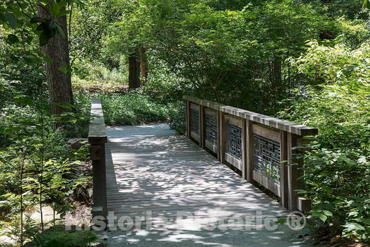 Photo- Scene from the Sarah P. Duke Gardens, a 55-acre public garden on the campus of Duke University 23 Fine Art Photo Reproduction