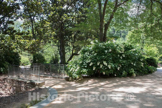 Photo- Scene from The Sarah P. Duke Gardens, a 55-Acre Public Garden on The Campus of Duke University 24 Fine Art Photo Reproduction