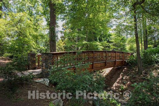 Photo- Scene from the Sarah P. Duke Gardens, a 55-acre public garden on the campus of Duke University 26 Fine Art Photo Reproduction