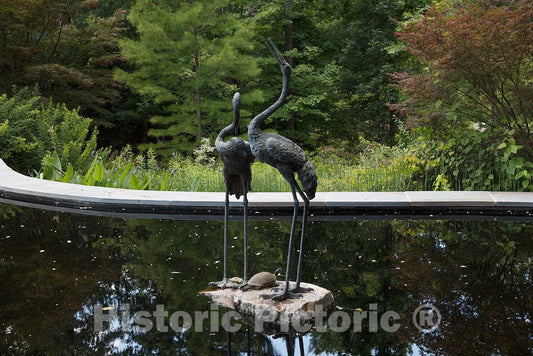 Photo- Scene from The Sarah P. Duke Gardens, a 55-Acre Public Garden on The Campus of Duke University 2 Fine Art Photo Reproduction