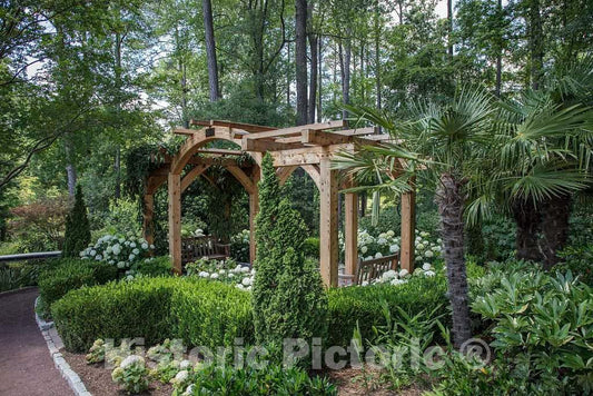 Photo- Scene from The Sarah P. Duke Gardens, a 55-Acre Public Garden on The Campus of Duke University 3 Fine Art Photo Reproduction