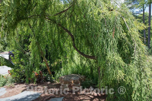 Photo- Scene from The Sarah P. Duke Gardens, a 55-Acre Public Garden on The Campus of Duke University 5 Fine Art Photo Reproduction