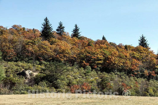 Photo - Scene in The Hominy Valley in Buncombe County, North Carolina, west of Asheville- Fine Art Photo Reporduction