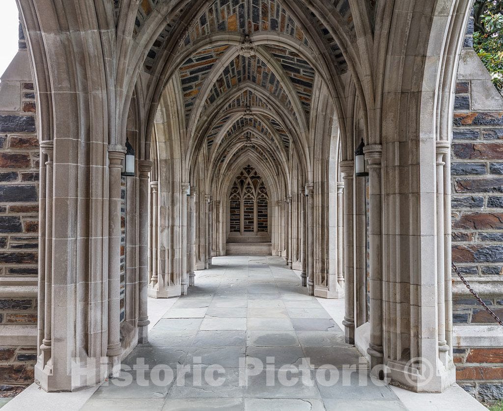 Photo - Ribbed vaults on The Duke University Chapel on The University Campus in Durham, North Carolina- Fine Art Photo Reporduction