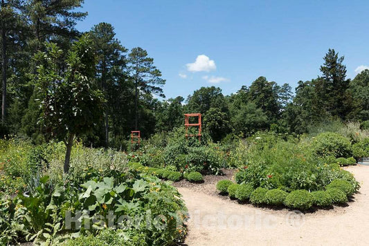 Photo- Scene from The Sarah P. Duke Gardens, a 55-Acre Public Garden on The Campus of Duke University 7 Fine Art Photo Reproduction
