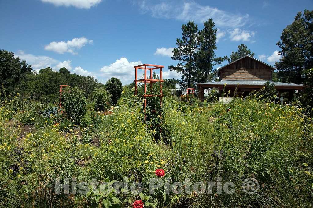 Photo- Scene from The Sarah P. Duke Gardens, a 55-Acre Public Garden on The Campus of Duke University 9 Fine Art Photo Reproduction