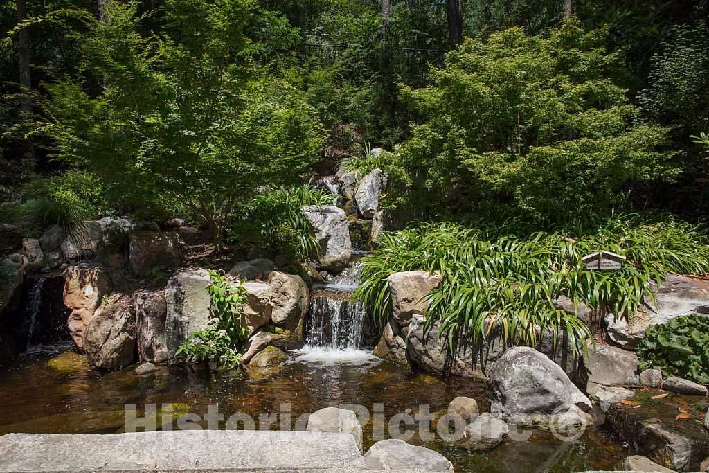 Photo- Scene from The Sarah P. Duke Gardens, a 55-Acre Public Garden on The Campus of Duke University 11 Fine Art Photo Reproduction