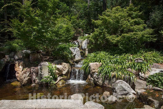 Photo- Scene from The Sarah P. Duke Gardens, a 55-Acre Public Garden on The Campus of Duke University 11 Fine Art Photo Reproduction