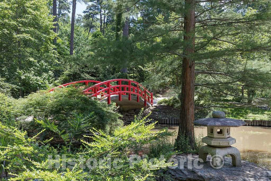 Photo - Japanese-Style Arched Bridge at The Sarah P. Duke Gardens, a 55-Acre Public Garden on The Campus of Duke University- Fine Art Photo Reporduction
