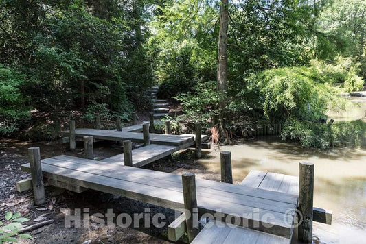 Photo- Scene from The Sarah P. Duke Gardens, a 55-Acre Public Garden on The Campus of Duke University 14 Fine Art Photo Reproduction