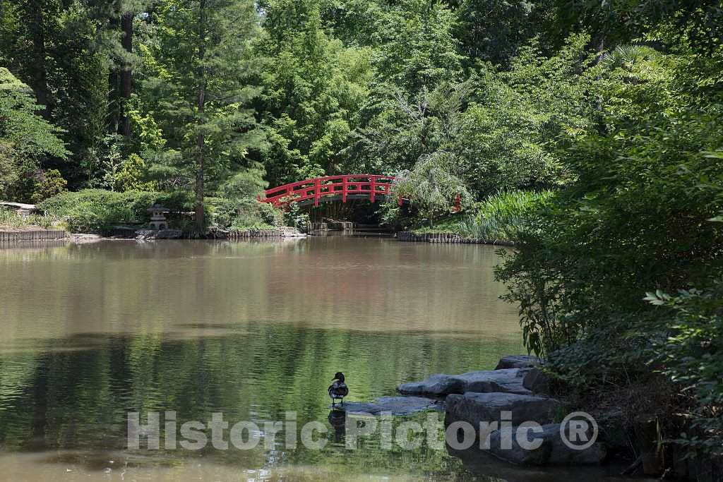 Photo- Scene from The Sarah P. Duke Gardens, a 55-Acre Public Garden on The Campus of Duke University 15 Fine Art Photo Reproduction