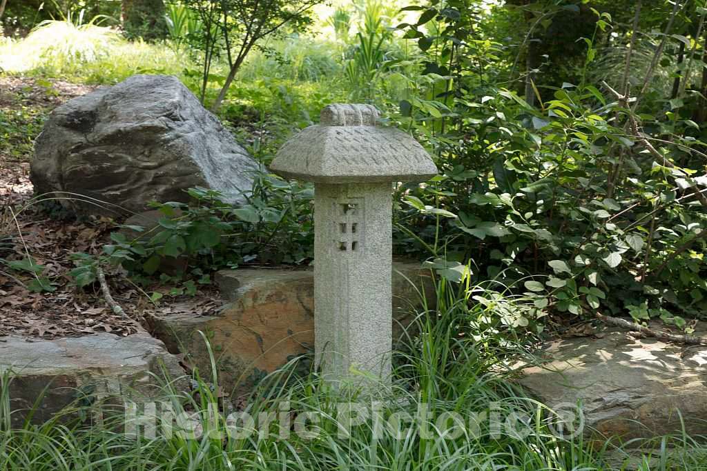 Photo- Scene from The Sarah P. Duke Gardens, a 55-Acre Public Garden on The Campus of Duke University 16 Fine Art Photo Reproduction