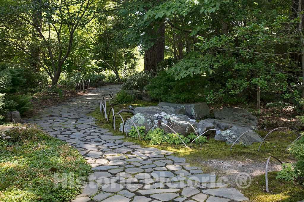 Photo- Scene from The Sarah P. Duke Gardens, a 55-Acre Public Garden on The Campus of Duke University 17 Fine Art Photo Reproduction