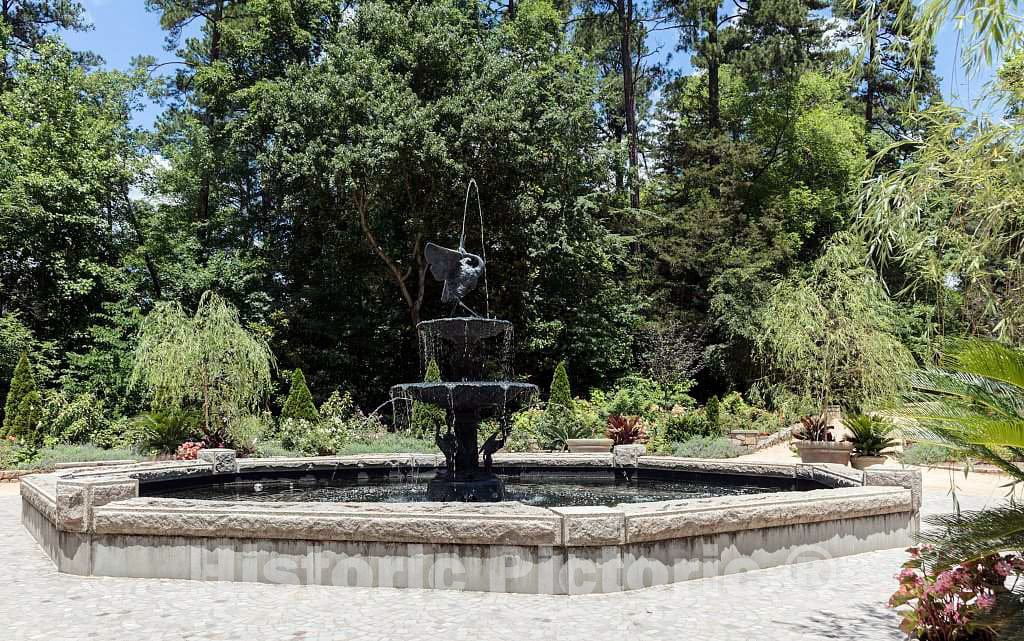 Photo- Scene from the Sarah P. Duke Gardens, a 55-acre public garden on the campus of Duke University 18 Fine Art Photo Reproduction
