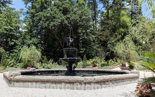 Photo- Scene from the Sarah P. Duke Gardens, a 55-acre public garden on the campus of Duke University 18 Fine Art Photo Reproduction