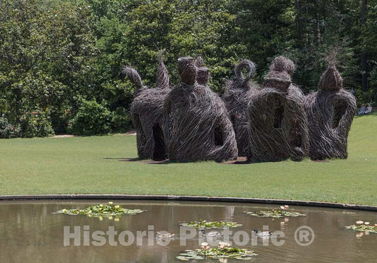 Photo - Temporary art installation at the Sarah P. Duke Gardens, a 55-acre public garden on the campus of Duke University- Fine Art Photo Reporduction