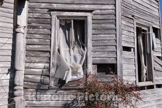 Photo - The Shore Wind gets Liberal Access to This Old, Abandoned House in The Tiny Community of Jarvisburg, Along Currituck Sound Near Kitty Hawk, North Carolina
