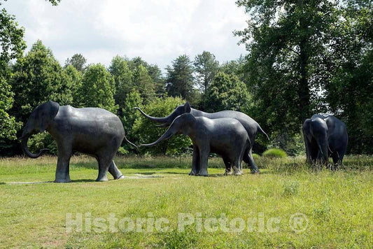 Photo- The Life-Size Elephant Group Sculpture on The Entrance Road to The North Carolina Zoological Park in Asheboro, North Carolina, Near The Geographic Center of The State