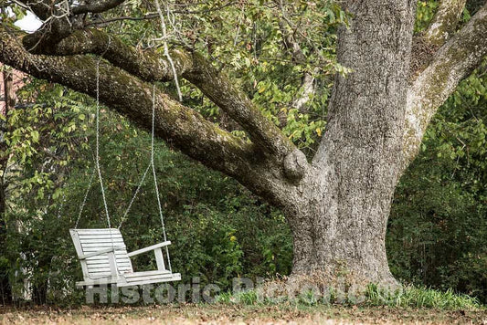 Photo - an Invitation to Relax in Senatobia, Mississippi- Fine Art Photo Reporduction