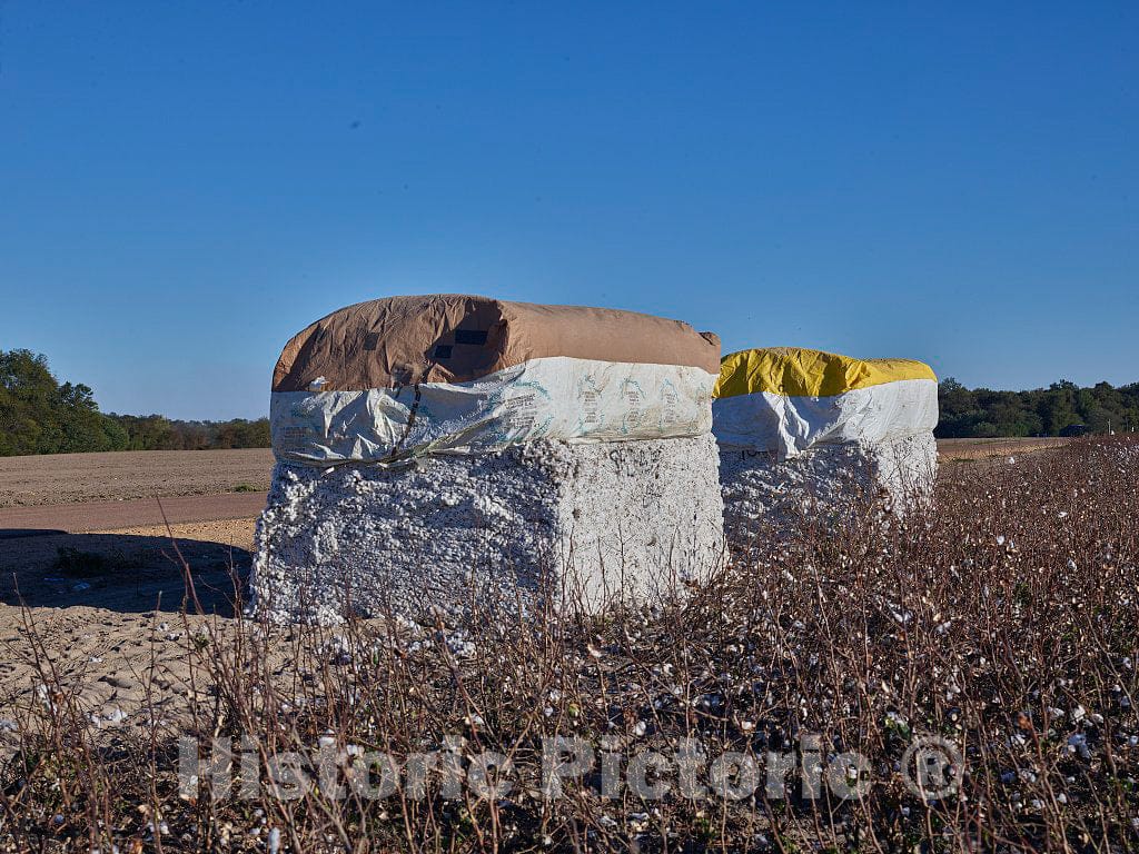 Photo - Large Cotton Bale Ready for Pickup Near Friars Point, Mississippi- Fine Art Photo Reporduction