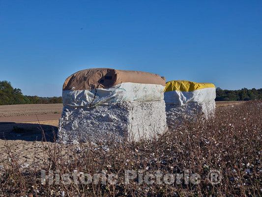 Photo - Large Cotton Bale Ready for Pickup Near Friars Point, Mississippi- Fine Art Photo Reporduction