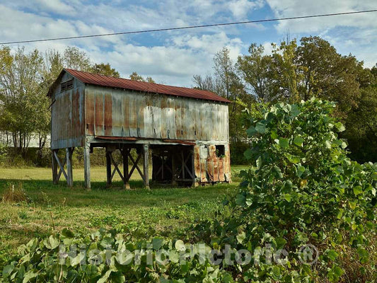 Photo - Old cotton-processing plant in Abbeville, Mississippi- Fine Art Photo Reporduction