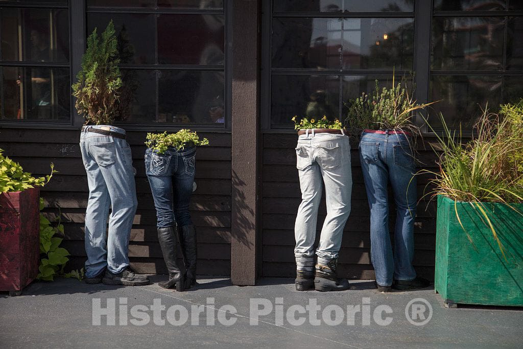 Photo - Unusual planters at The Broadway at The Beach Amusement Area in Myrtle Beach, South Carolina- Fine Art Photo Reporduction
