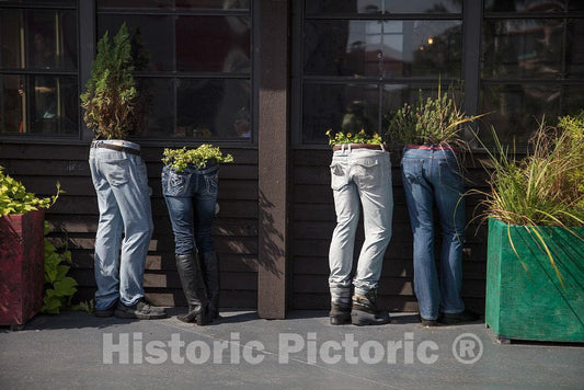Photo - Unusual planters at The Broadway at The Beach Amusement Area in Myrtle Beach, South Carolina- Fine Art Photo Reporduction