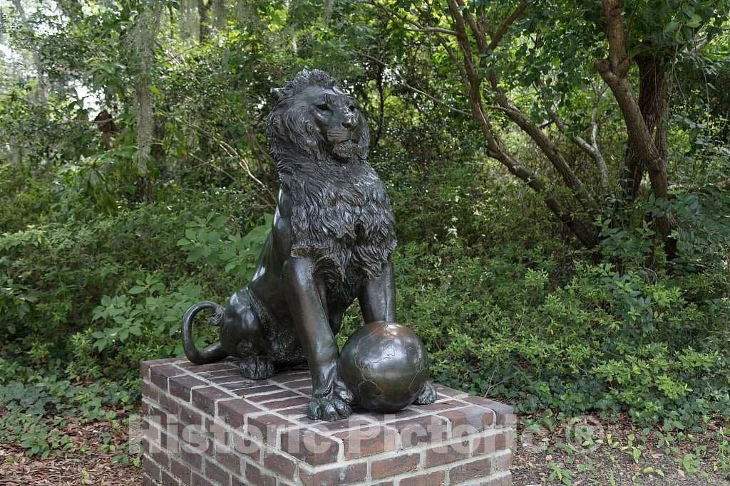 Photo -Lion, Anna Hyatt Huntington's 1930 Bronze scupture at Brookgreen Gardens, a vast Complex of Sculpture Gardens, Ecosystem Trails- Fine Art Photo Reporduction