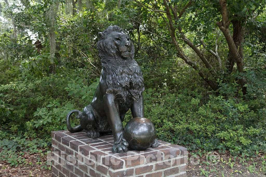 Photo -Lion, Anna Hyatt Huntington's 1930 Bronze scupture at Brookgreen Gardens, a vast Complex of Sculpture Gardens, Ecosystem Trails- Fine Art Photo Reporduction