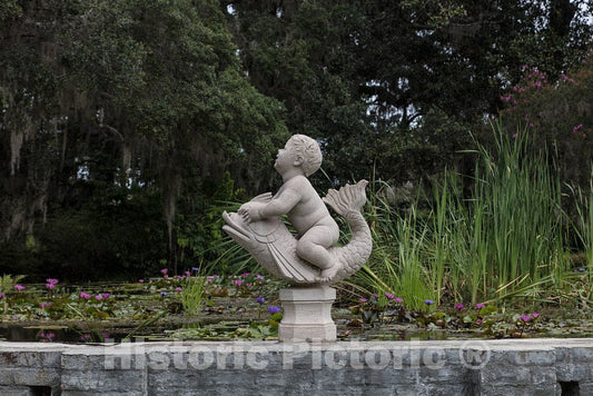 Photo - Child-Riding-Fish Sculpture at Brookgreen Gardens, a vast Complex of Sculpture Gardens, Ecosystem Trails- Fine Art Photo Reporduction