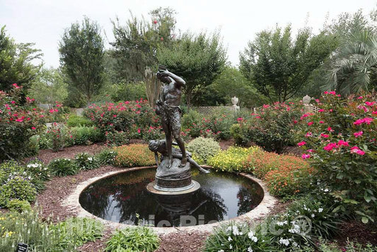 Photo - Charles Keck's Bronze Fauns at Play Sculpture at Brookgreen Gardens, a vast Complex of Sculpture Gardens, Ecosystem Trails- Fine Art Photo Reporduction