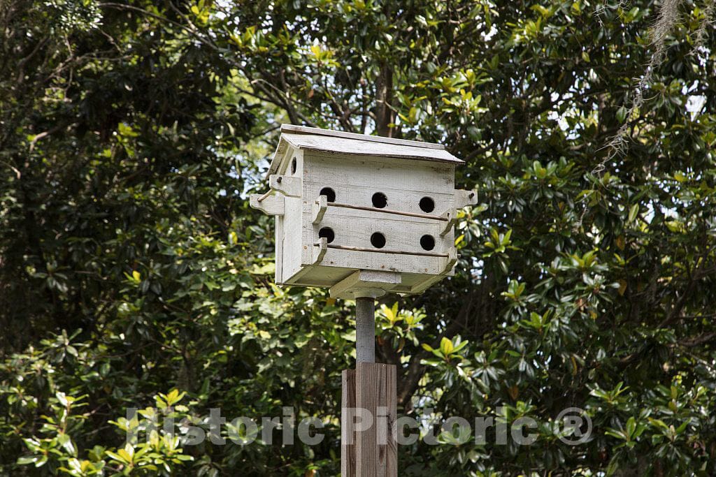 Photo - Birdhouse at Hopsewee Plantation, Near The Settlement of North Santee, Along The Santee River in Georgetown County, South Carolina- Fine Art Photo Reporduction