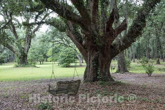 Photo- Grounds at Hopsewee Plantation, Near The Settlement of North Santee, Along The Santee River in Georgetown County, South Carolina 3 Fine Art Photo Reproduction