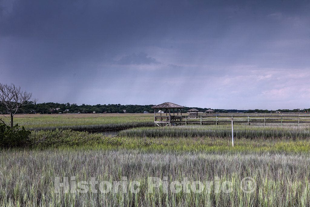 Photo- Scene on marshy Pawley's Island, a Barrier Island in Georgetown County, South Carolina 3 Fine Art Photo Reproduction