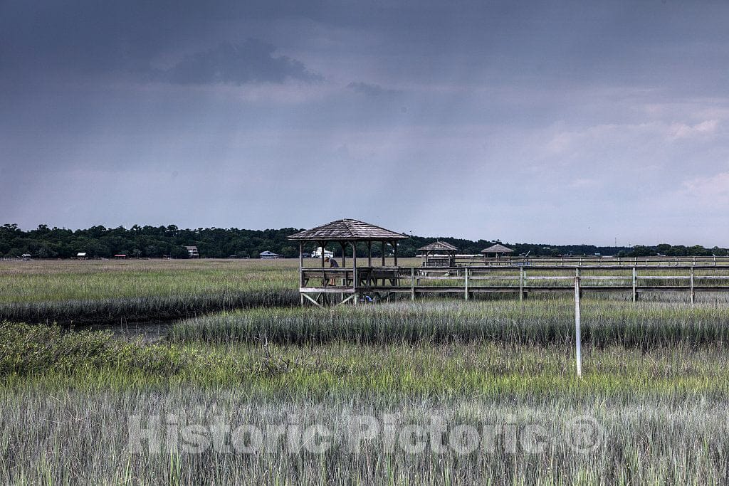 Photo- Scene on marshy Pawley's Island, a Barrier Island in Georgetown County, South Carolina 4 Fine Art Photo Reproduction