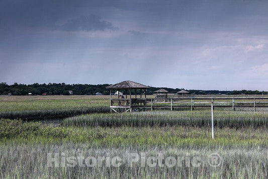 Photo- Scene on marshy Pawley's Island, a Barrier Island in Georgetown County, South Carolina 4 Fine Art Photo Reproduction